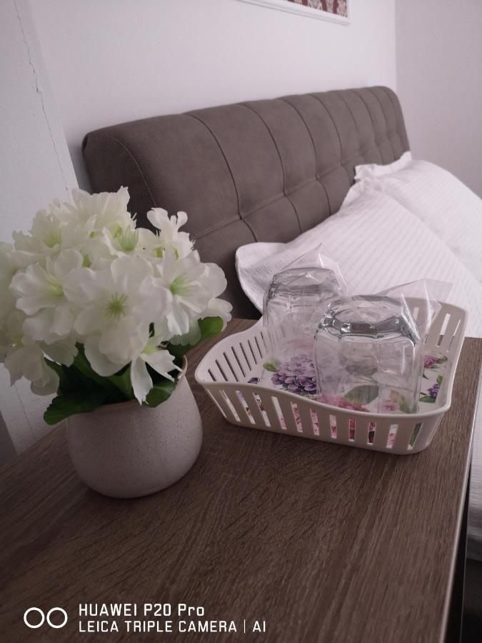 Casa Hortensia Tasnad Ngoại thất bức ảnh